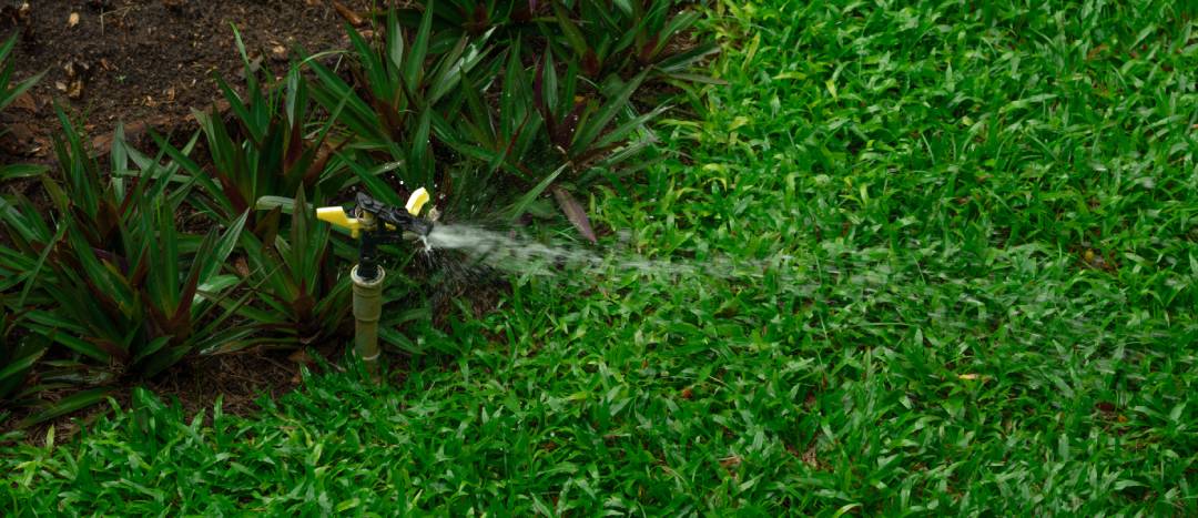Sprinkler Blowout Denver: Irrigation Winterization Cost vs Freeze Damage Repairs